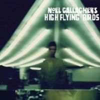 High Flying Birds