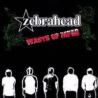 Album Waste Of Mfzb