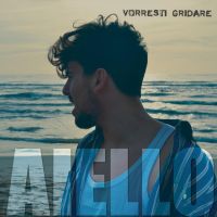 Vorresti Gridare