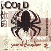 Year Of The Spider