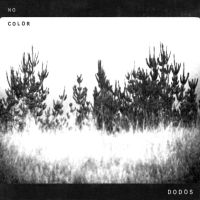 No Color